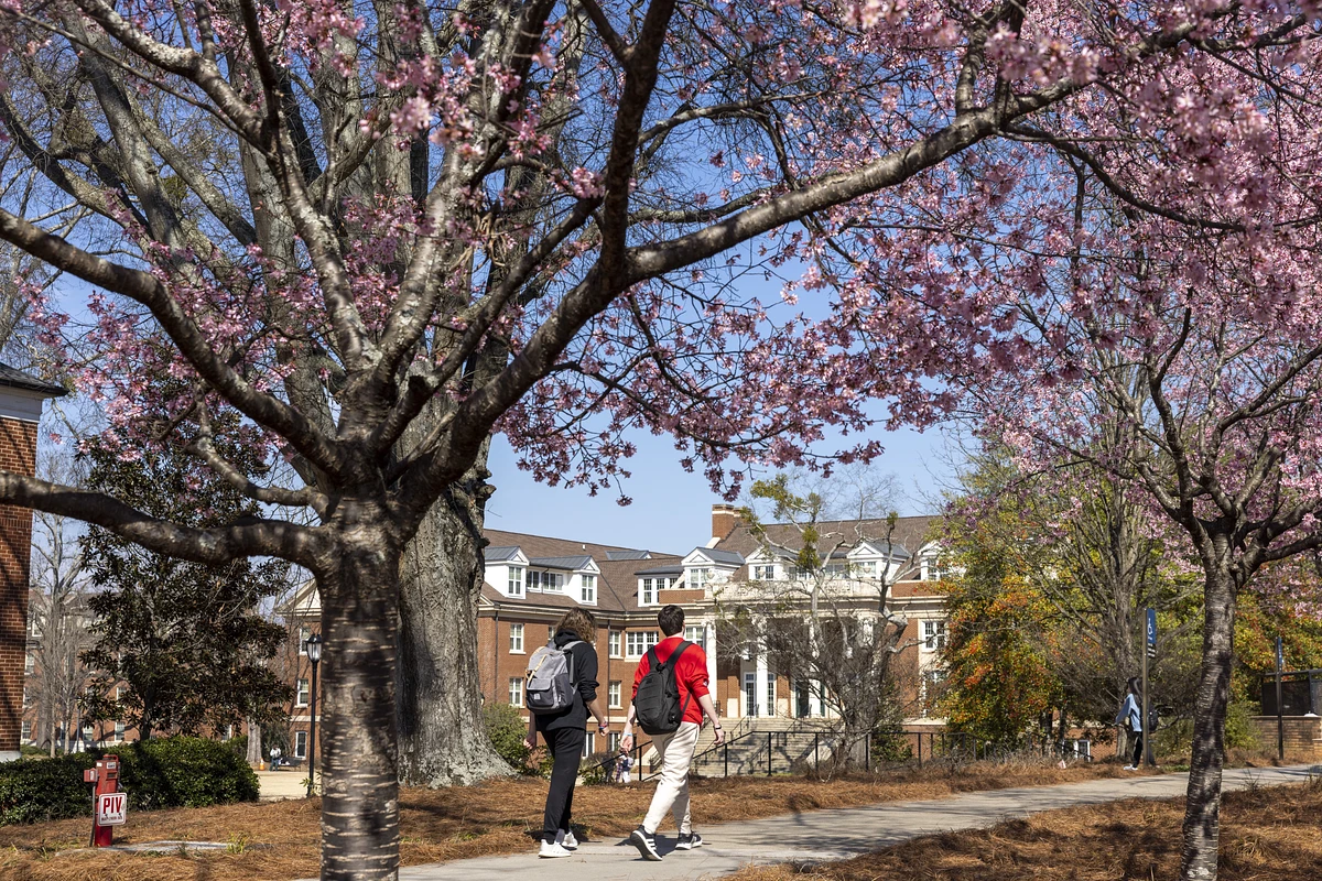 Two students walking a path lined with spring blooms along South Campus.